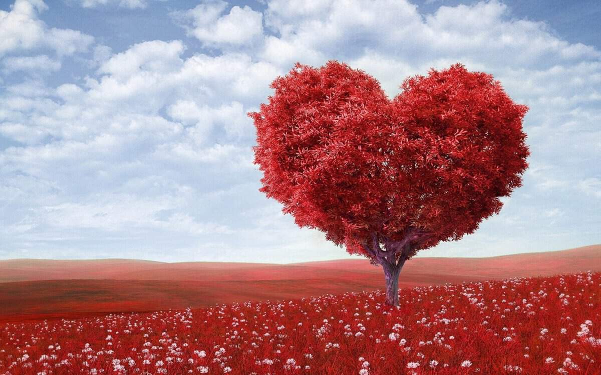 heart shape tree image