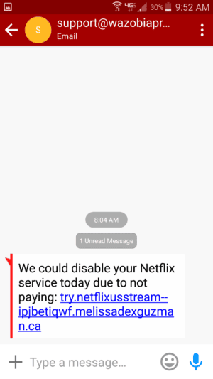 Netflix spam text