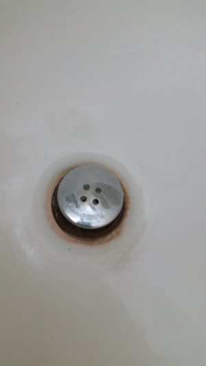 Tub shroom placed in bathtub drain.