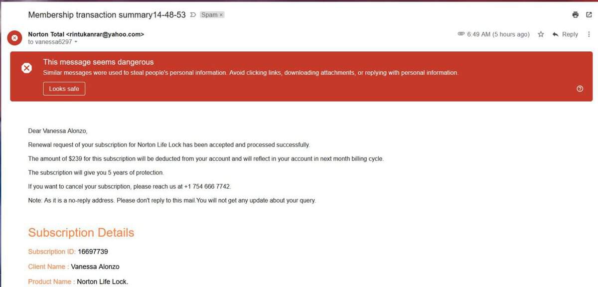 Norton scam receipt.