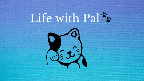 life with Pal banner image. Life with Pal white text with two paws next ot it (black) and a cat image below it.