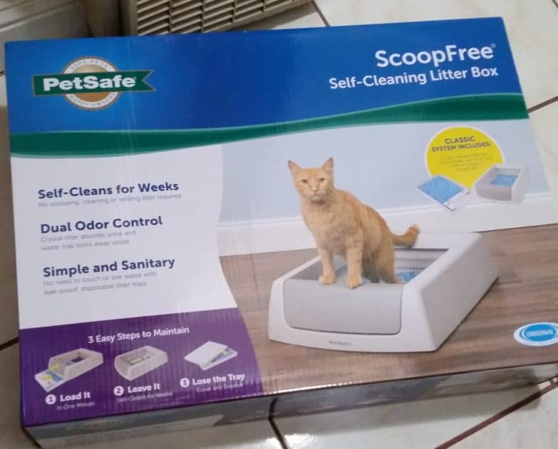 Petsafe scoop free litter box box.