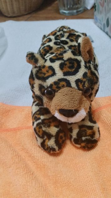 stuffed kitten toy (jaguar)