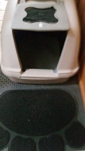 litter box (catit hooded box) with paw litter mat in front of it.