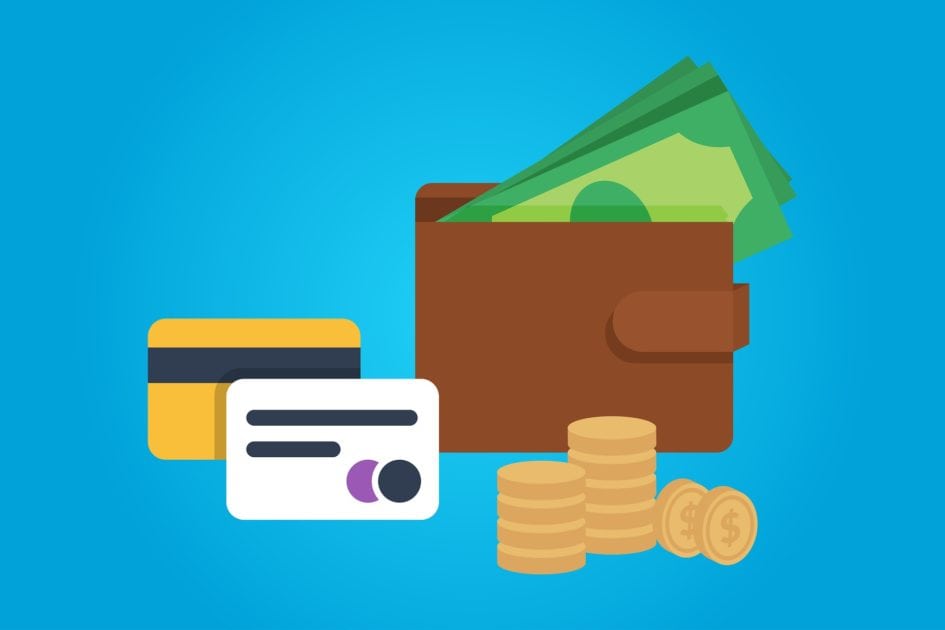 Payment options credit cards, coins and a wallet with cash. Illustration/vector image source Pixabaydotcom