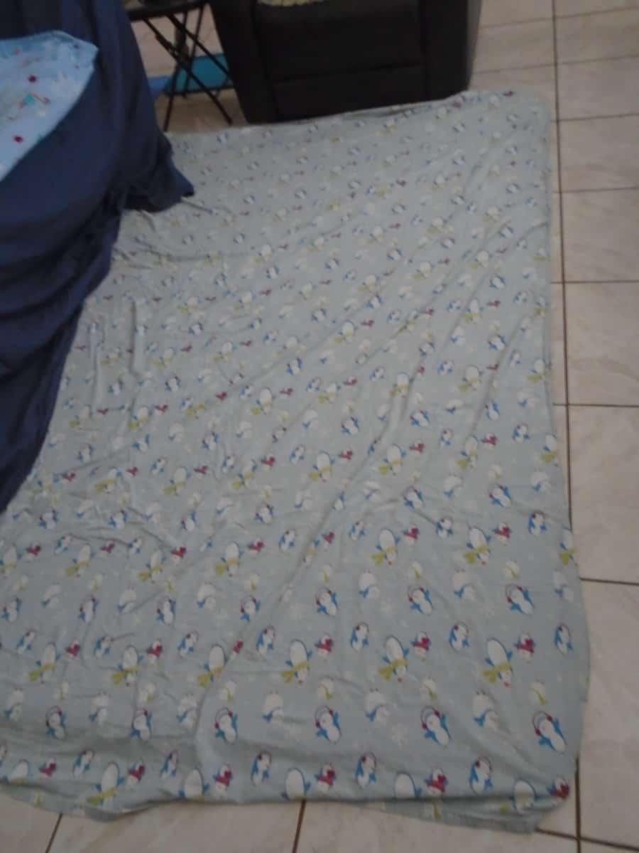 sheet covering an area rug. A light blue flannel sheet with penguins on it.