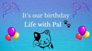 Life with Pal birthday banner. It's our birthday with life with pal logo sourrounded by balloons and confetti. created using canva.