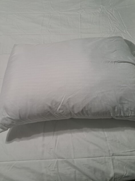 Sealy sheets pillow case on a pillow.