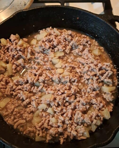 Finished ground turkey and potato meal with chicken broth in a cast iron pan.