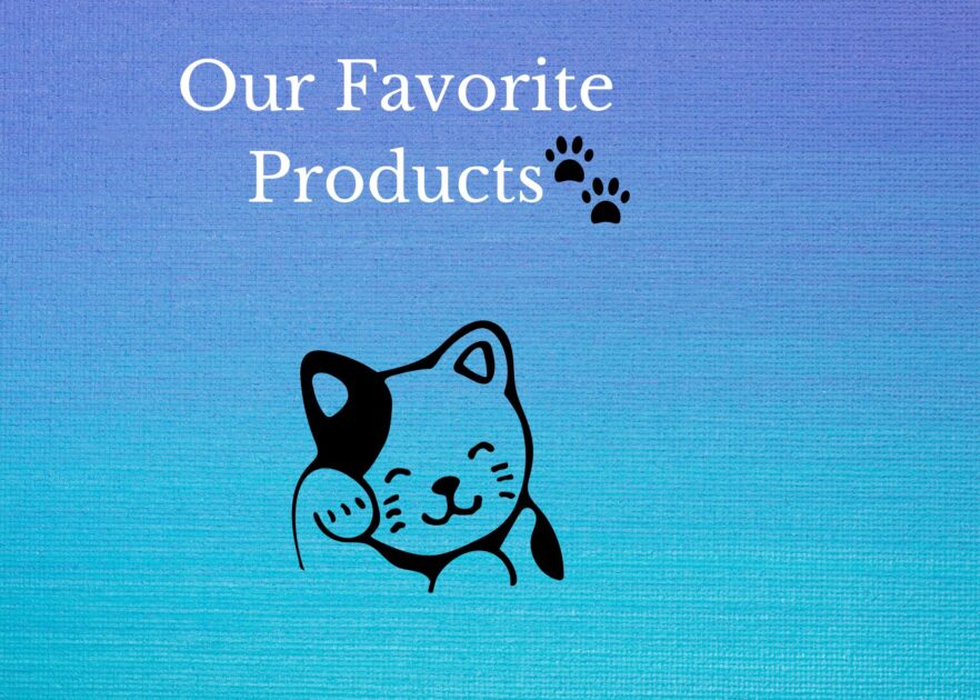 Our Favorite products banner. Banner created using canva. Gradiated background I shades of blue with a black cat icon under the text Our Favorite products with paws.