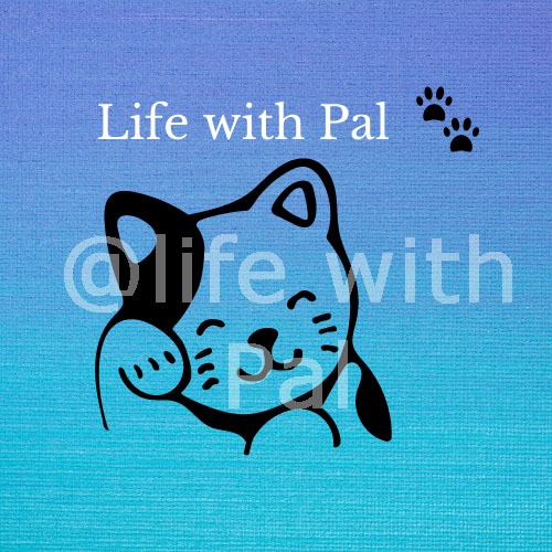 Life with pal logo with @lifewithpal watermark.