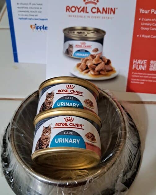 Royal canin urinary formula food with stianelss steel bowl and info crds.