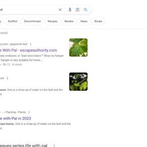 Google screen shot. Grape leaves series Life with Pal fis listed via www.escapeauthority.com. but when it redirects you are sent to reeacnevs.xyz.