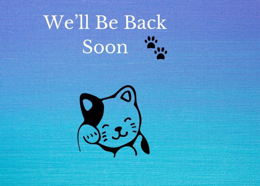 We'll Be Back Soon banner created with Canva.