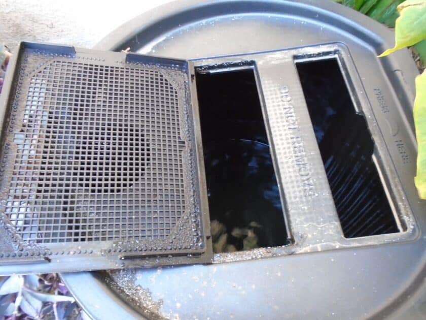 The mesh screen can be removed to view the water inside.