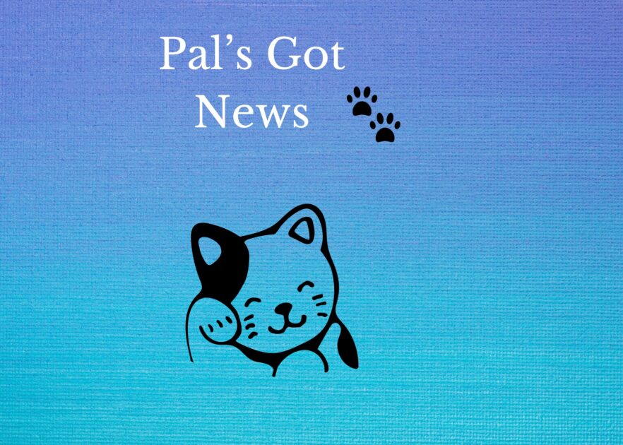 Pal's Got news banner created in canva