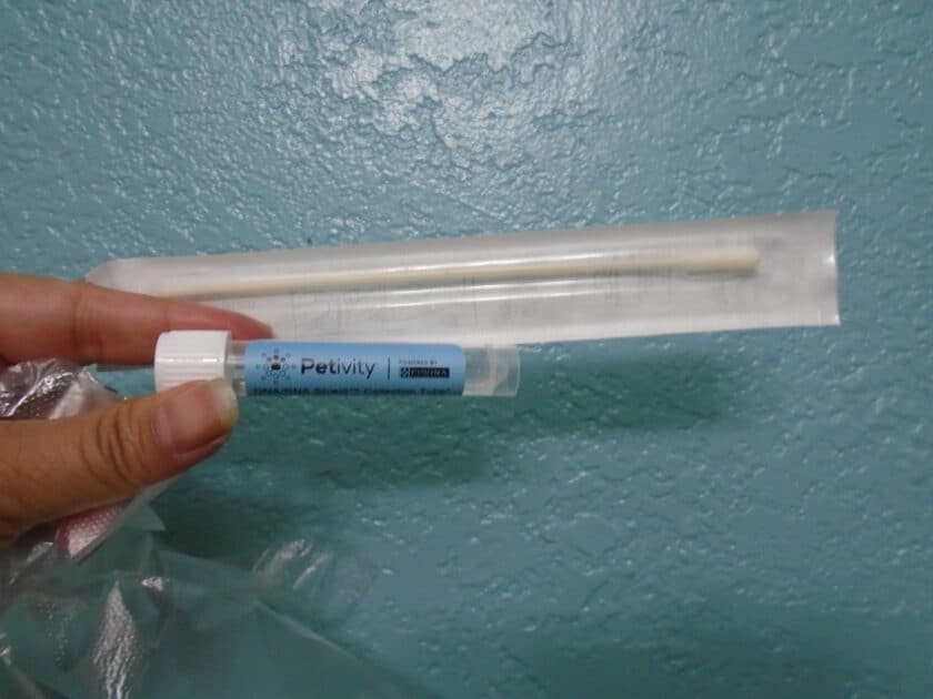 collection swab (sealed and collection tube with sulution.